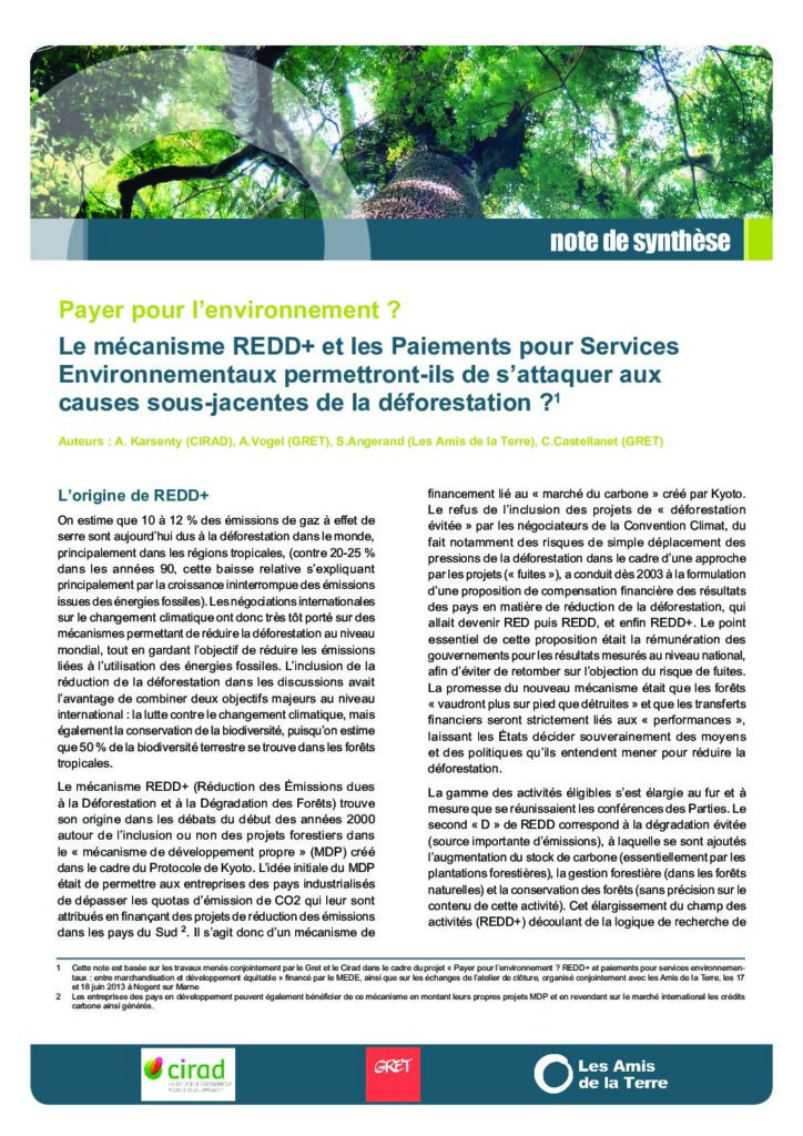 Payer pour l’environnement ? Le mécanisme REDD+ et les Paiements pour Services Environnementaux permettront-ils de s’attaquer aux causes sous-jacentes de la déforestation ?