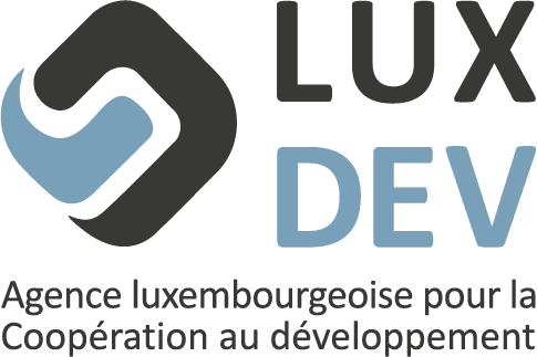 Logo Lux DEV