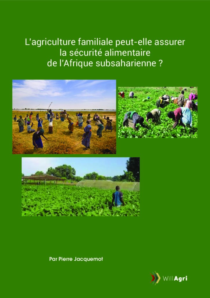 L’agriculture familiale peut-elle assurer la sécurité alimentaire de l’Afrique subsaharienne ?