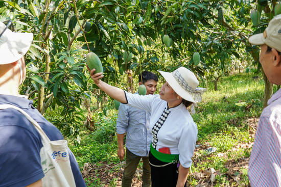 Une agricultrice ouvre la voie à des pratiques agricoles durables dans la province de Son La au Vietnam