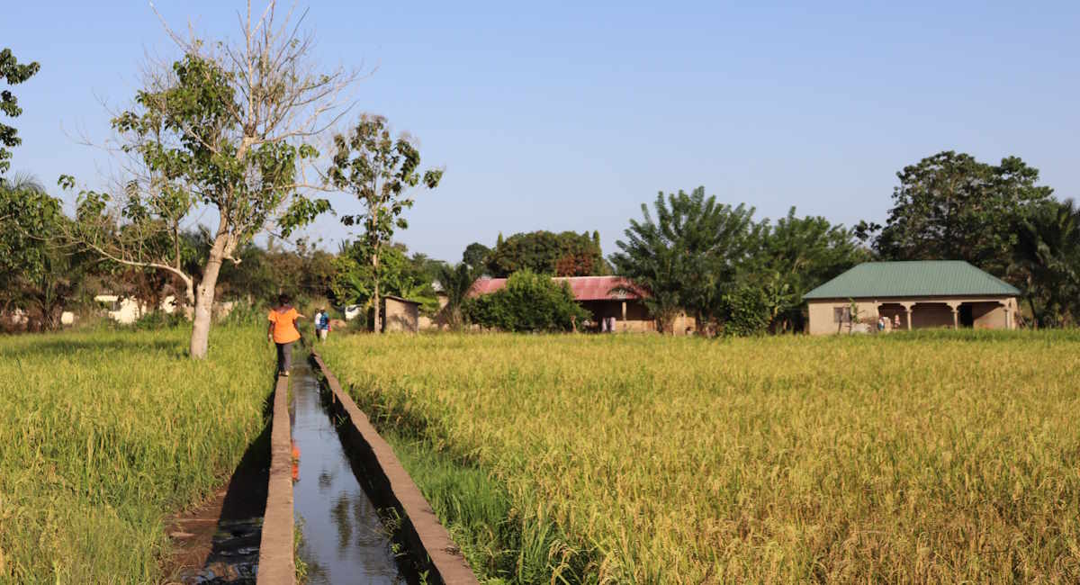 Projet de gestion intégrée des ressources en eau au Togo